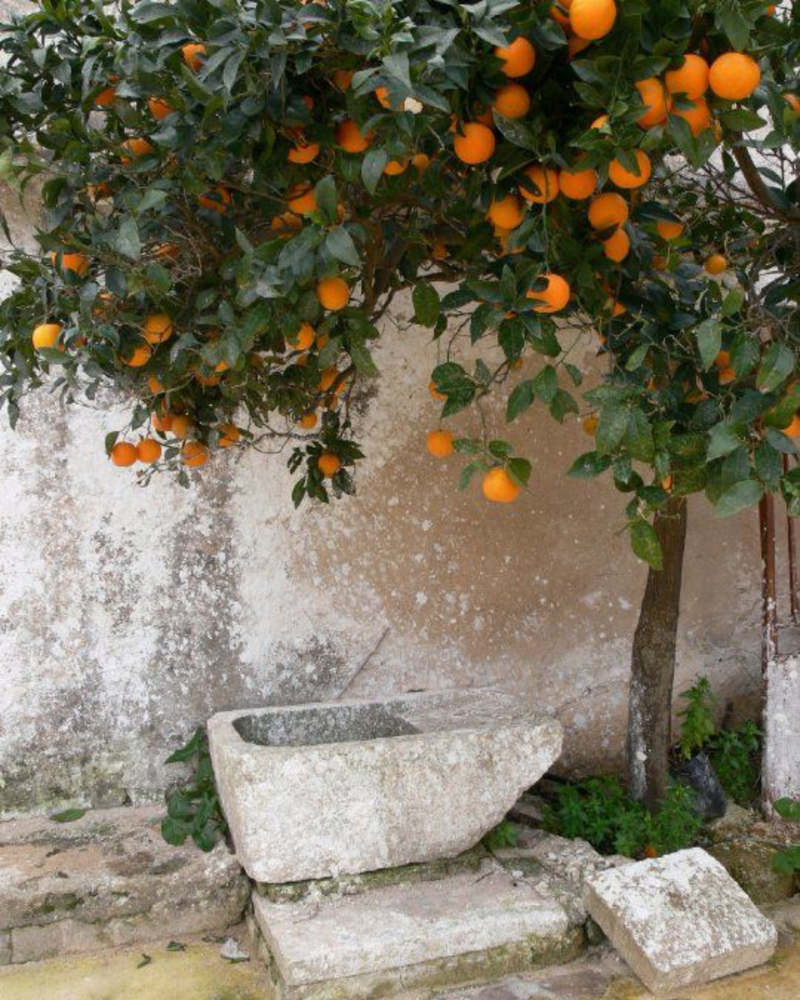 La Dolce Vita Retreat in Sicily