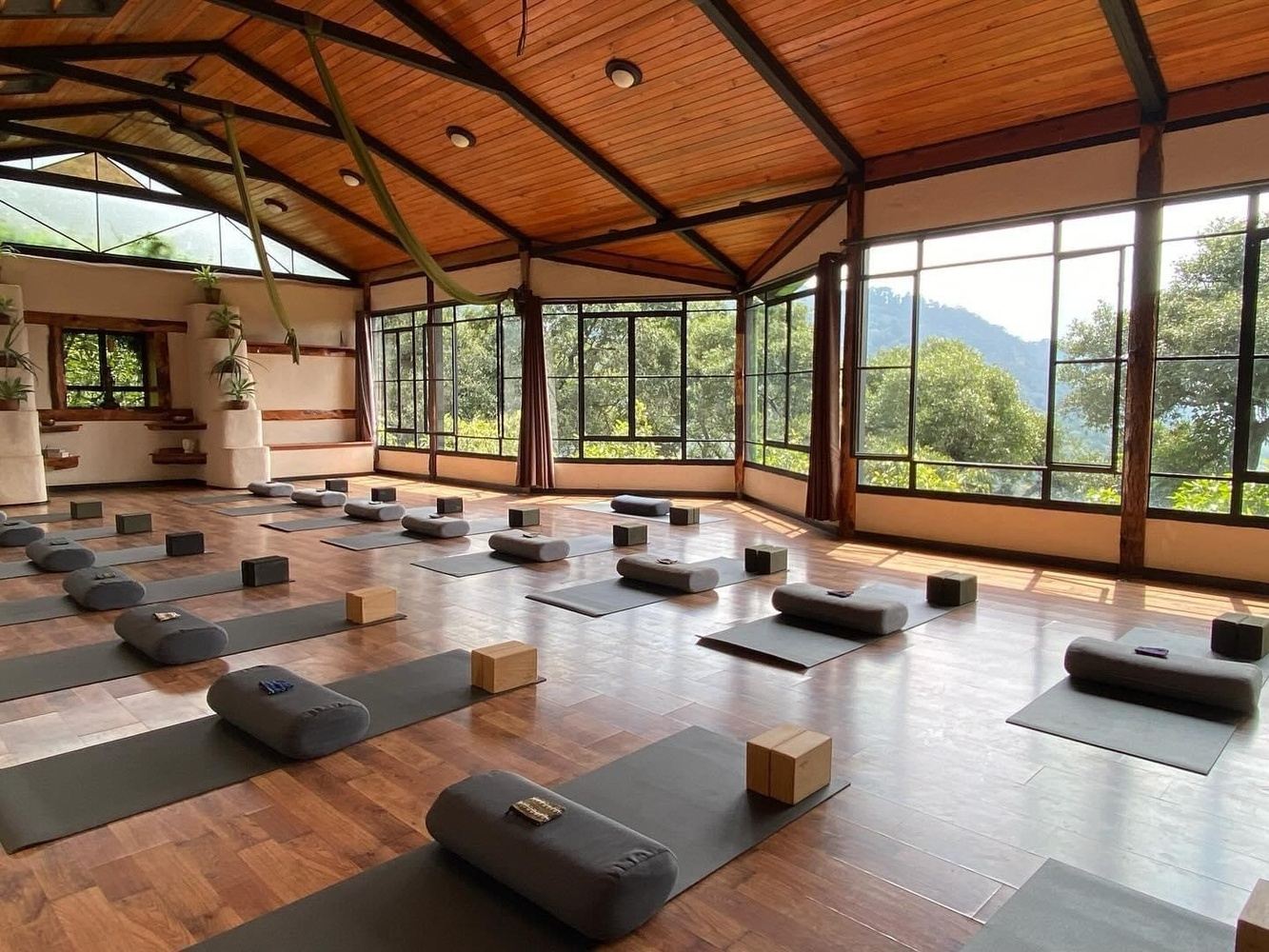 200 Hour Hybrid Yoga Teacher Training