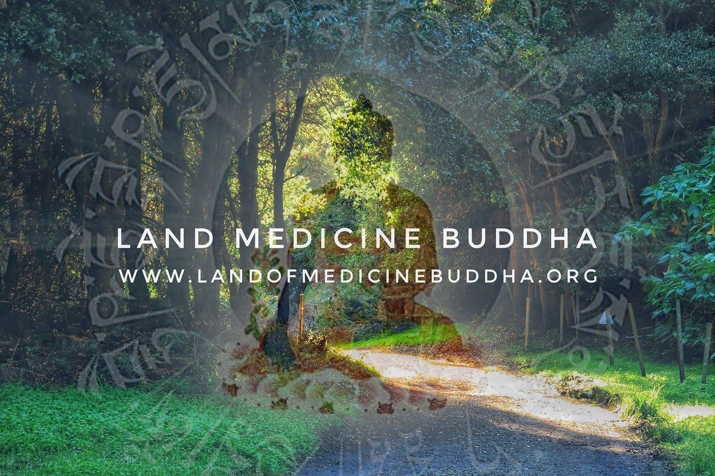 Reawaken & Reconnect ~ Embodiment & Activation Weekend