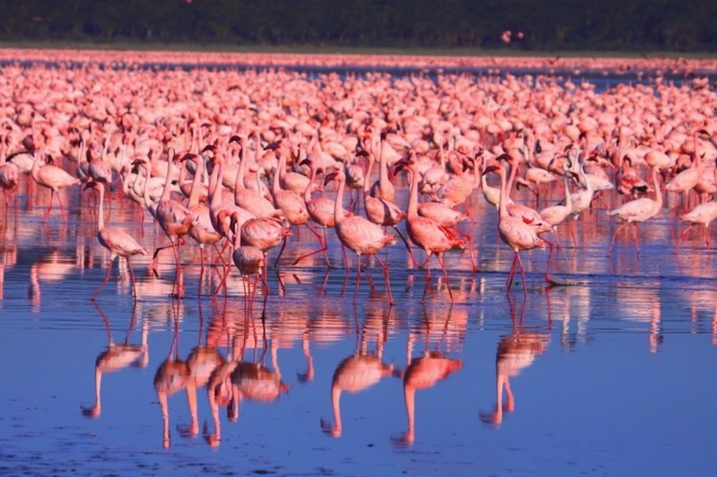 Overnight Tour To Hell’s Gate And Lake Nakuru National Park