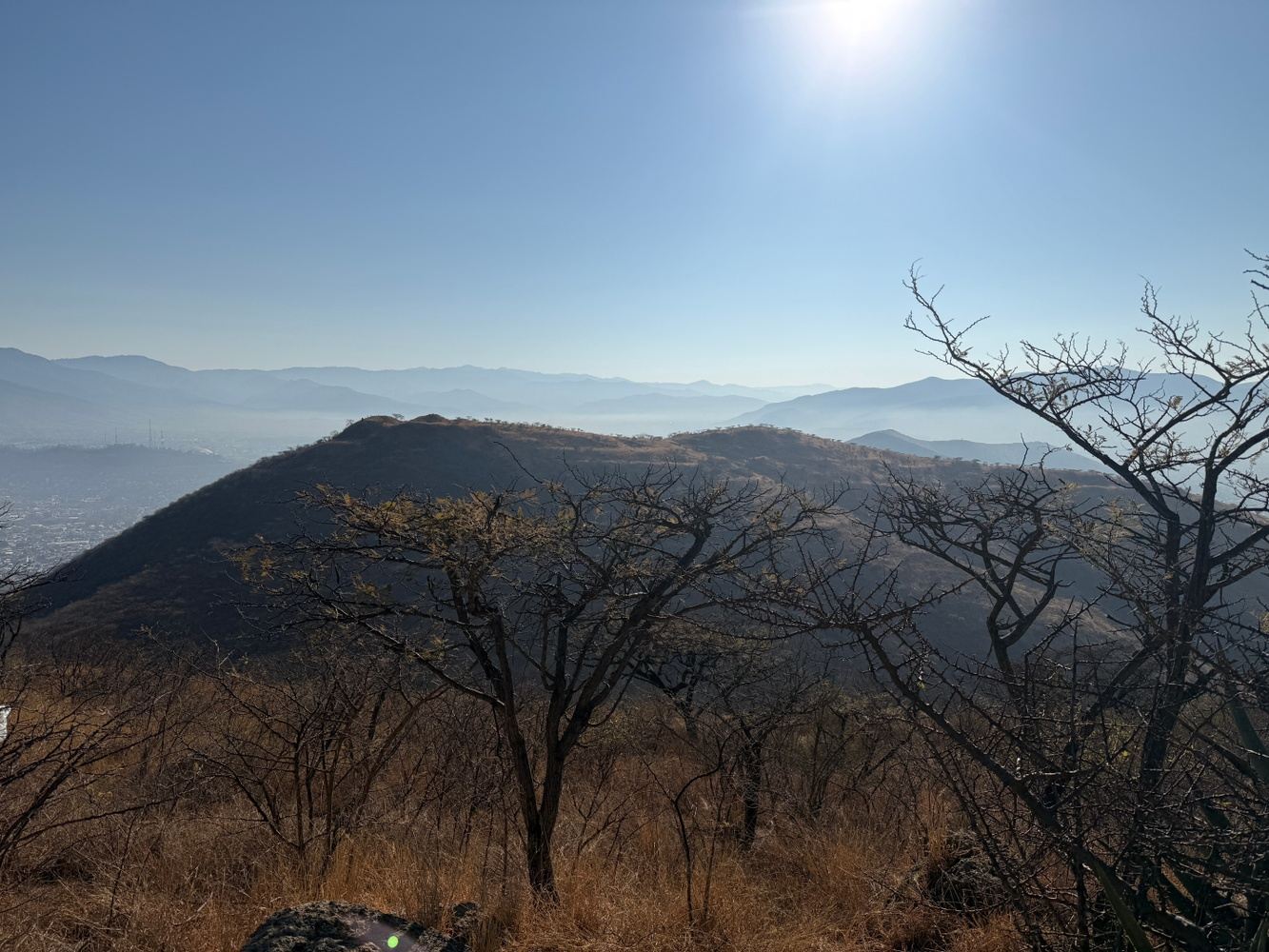Desert Bathing & Botanical Oaxaca