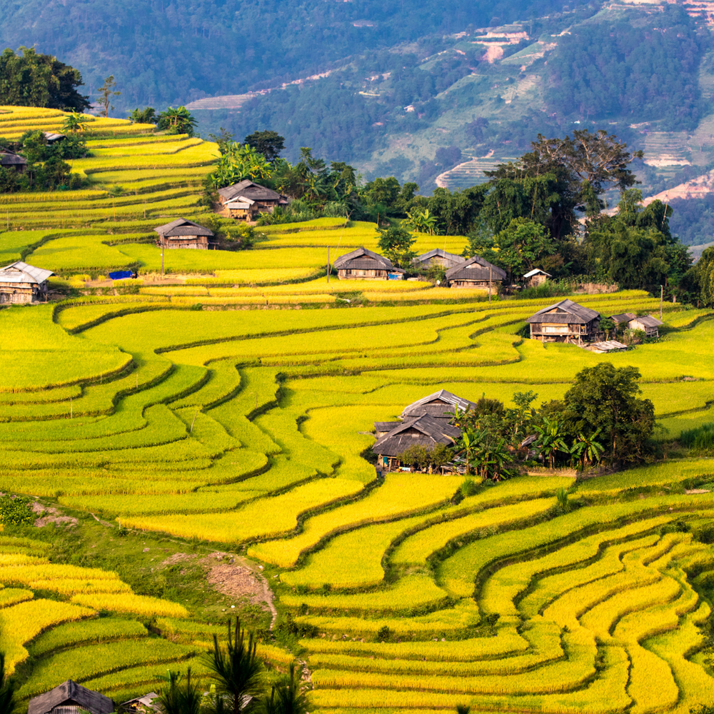 NORTHERN VIETNAM:THE ULTIMATE EXPERIENCE