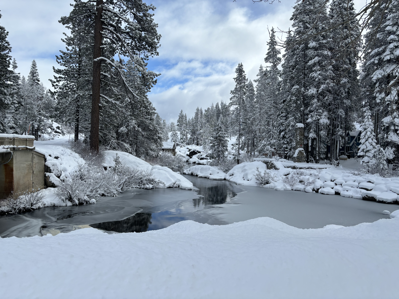 Sierra Soul WINTER 2025