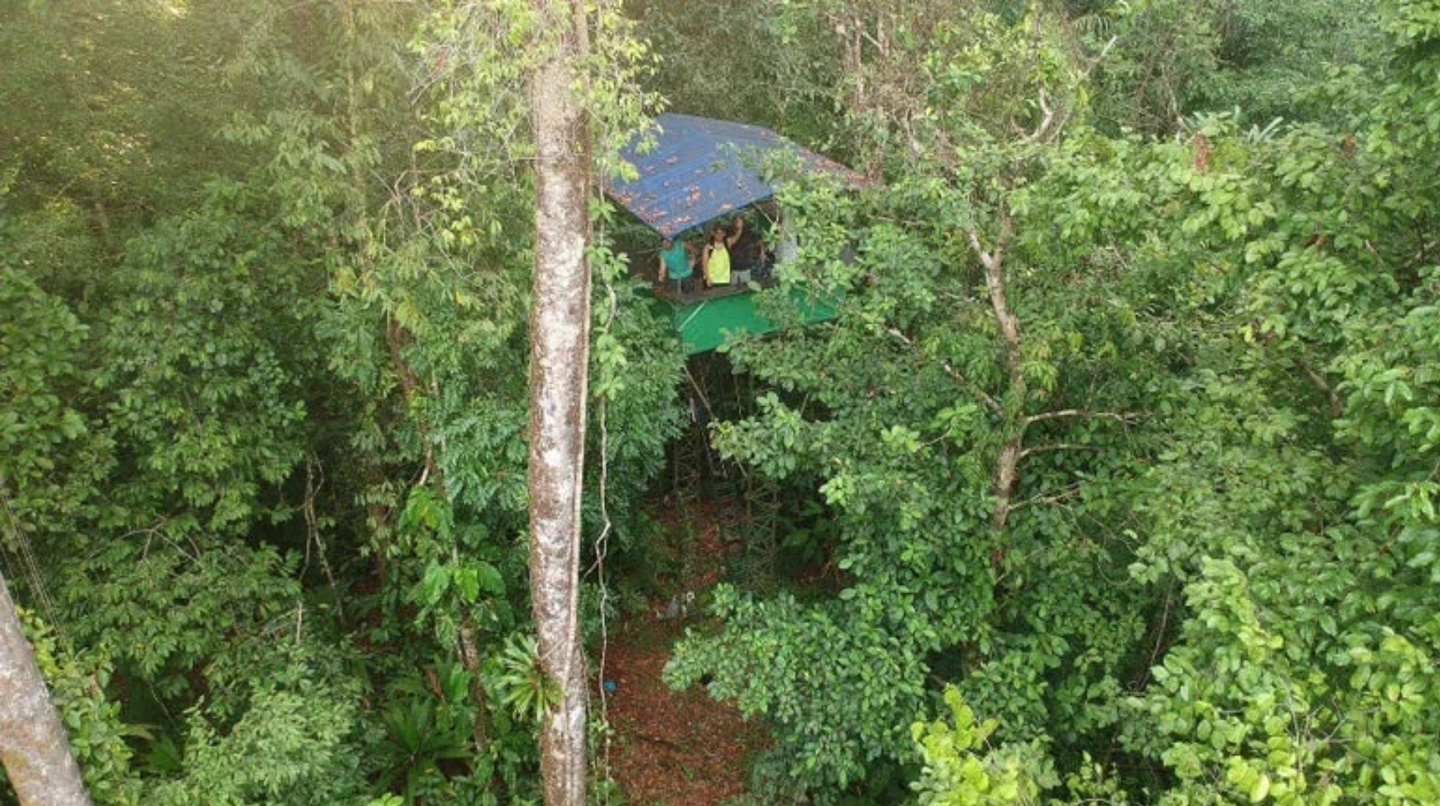 Rainforest Canopy Platform Overnight Tour