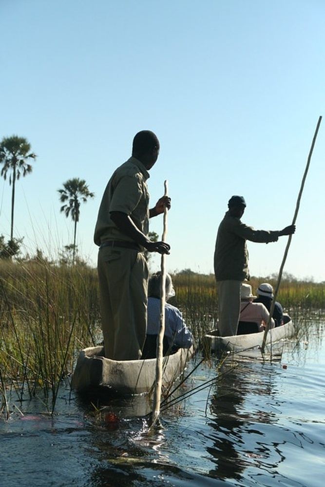 11 Days Around Botswana and 17 Days Around Zimbabwe Safari