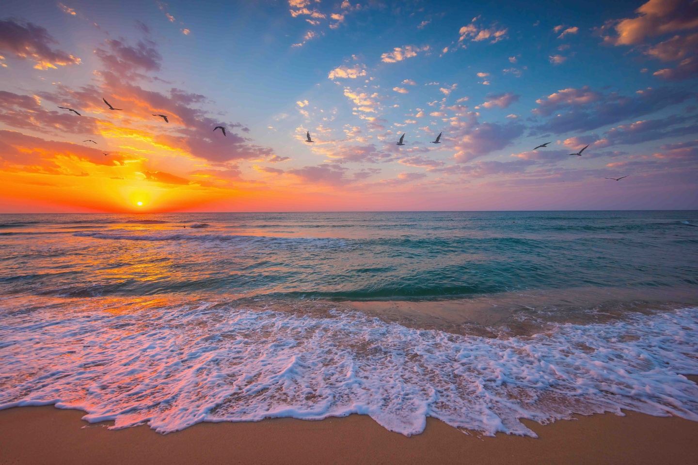Aruba Private Reading Retreat