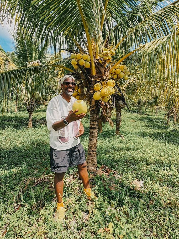 Turnip Vegan - Vegan Jungle Vibes October 2026 Retreat