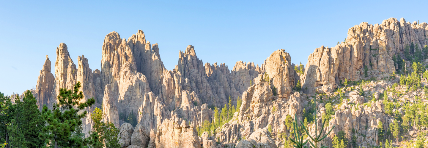 Best of the Black Hills