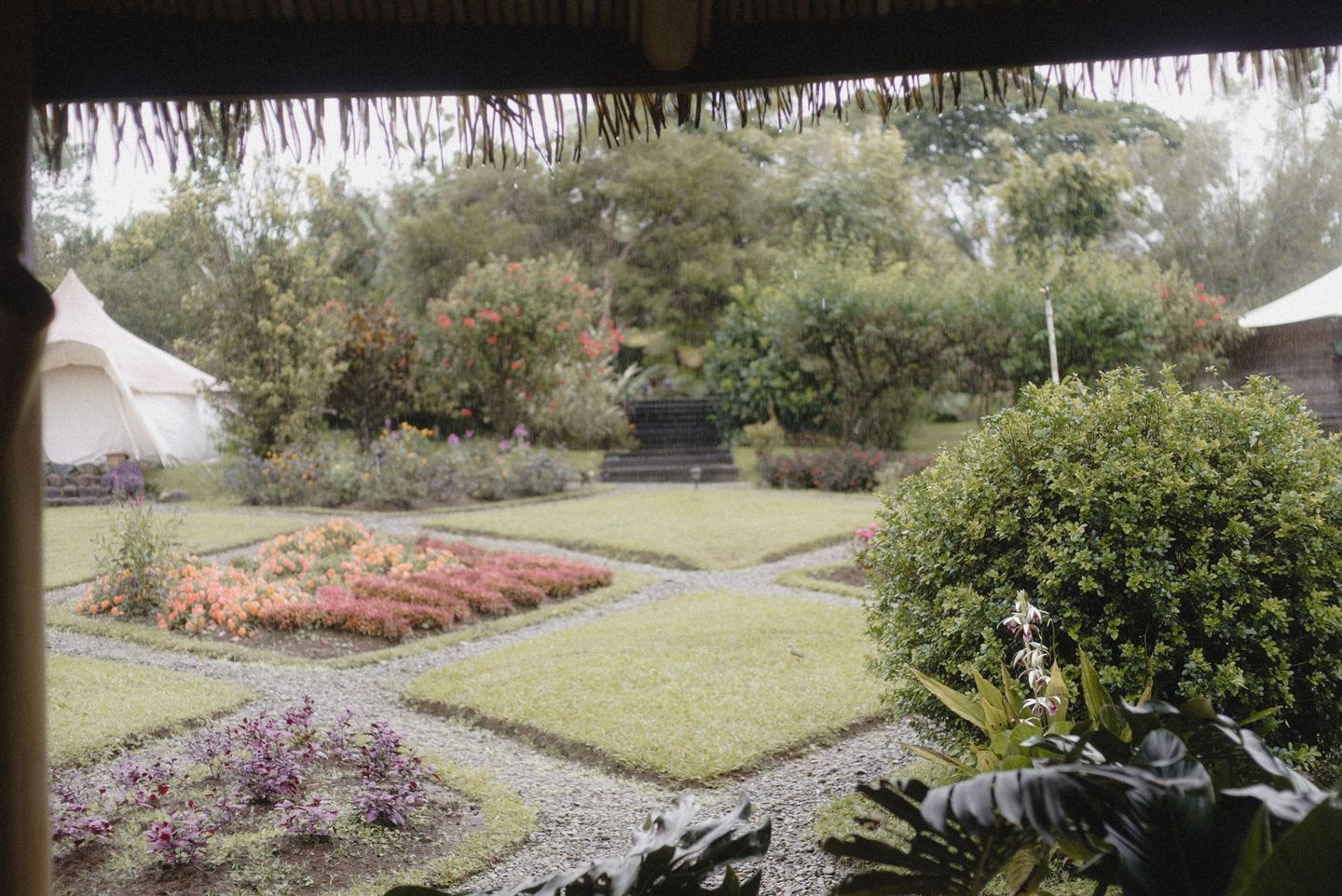 The Plant Medicine Mystery School Retreat