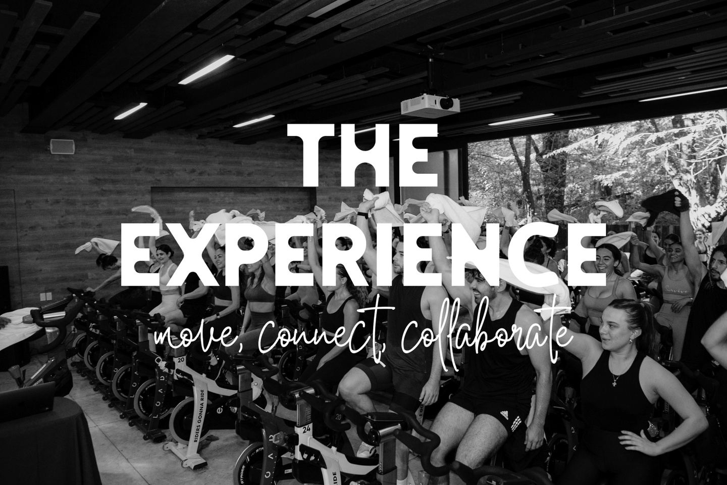 The Experience 2022