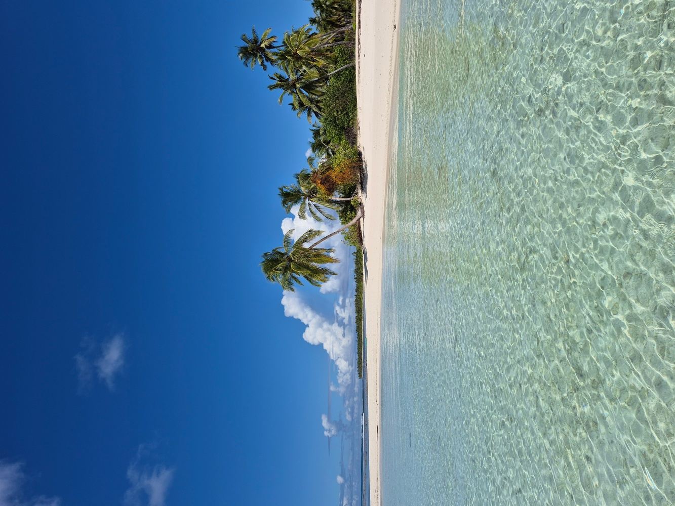 Saltwater Season: An Uncharted Voyage Island Hopping in the Maldives