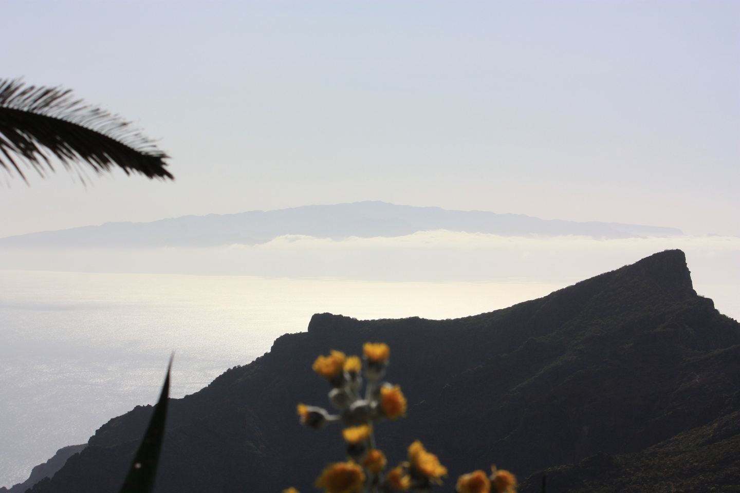 Îles Canaries - RAVEN : Une initiation à travers l'ombre