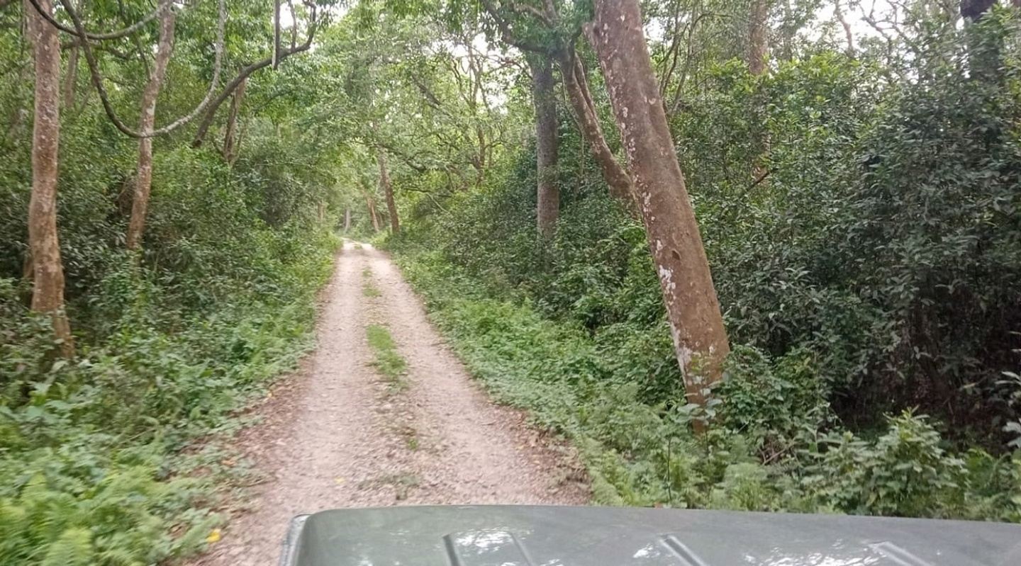 2 Nights 3 Days Chitwan Tour Package