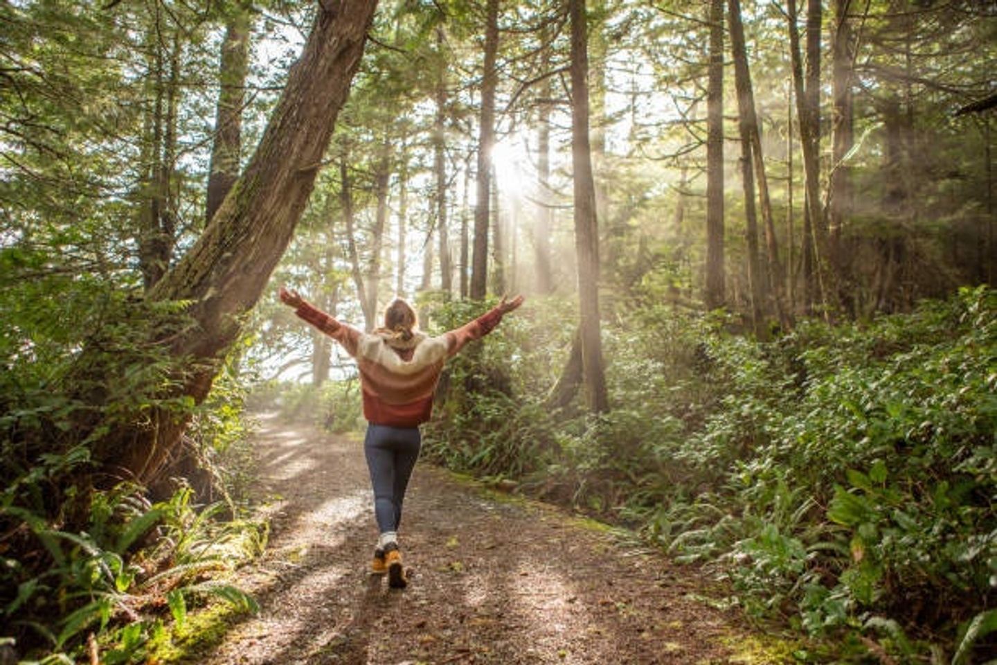 Rooted Wisdom: A Journey into Intuition & Plant-Spirit Medicine