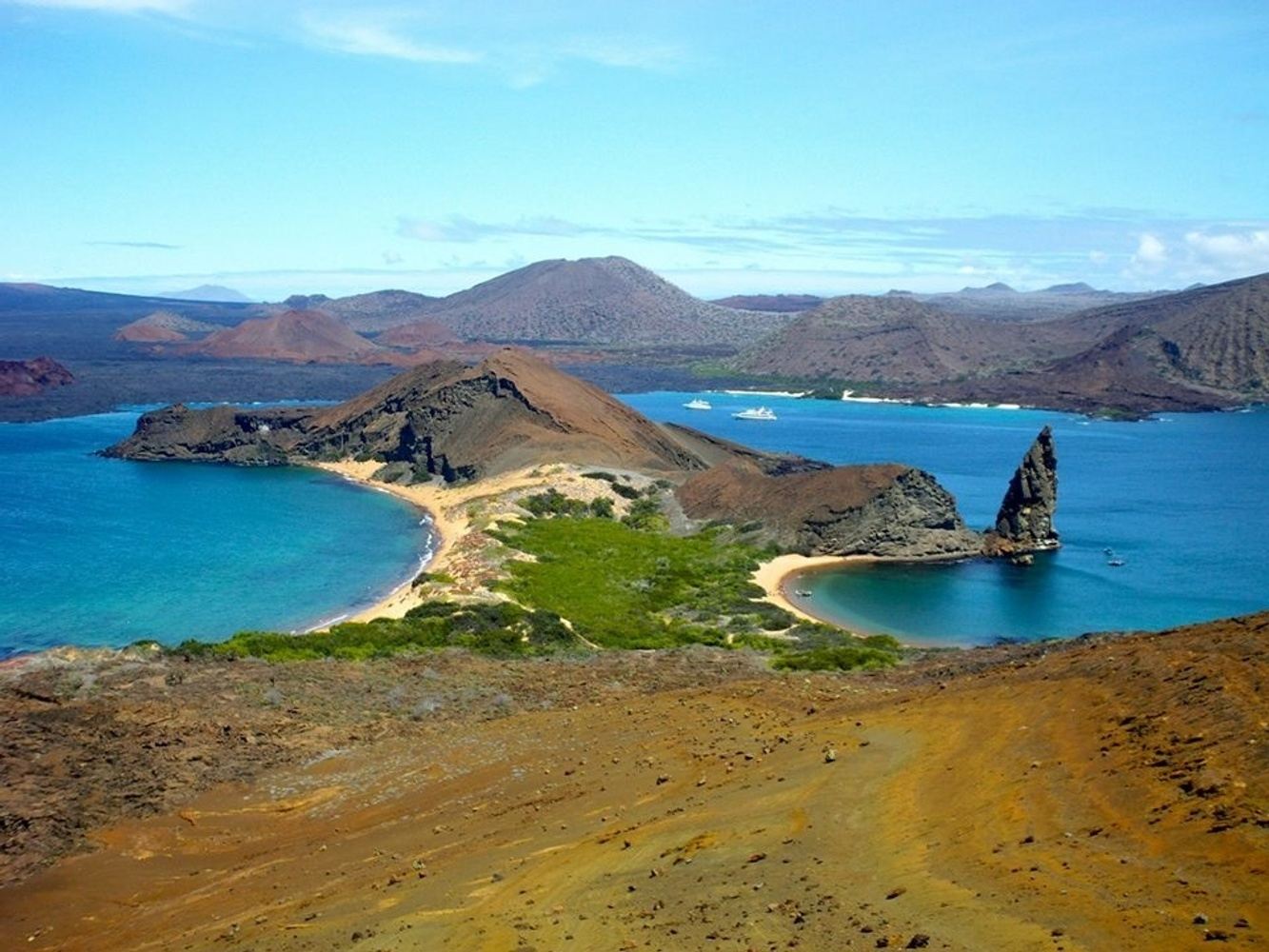Unique Wildlife of the Amazon & Galapagos - Ecuador Jewels