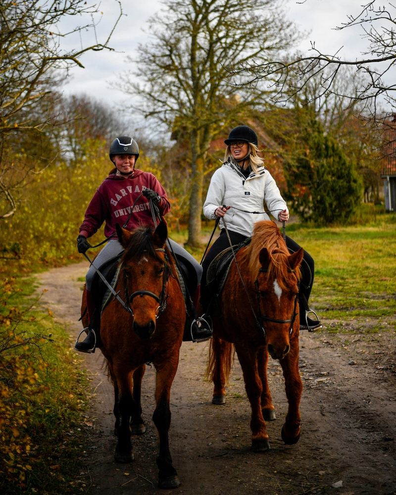 Horseback riding & Archery GTA 2
