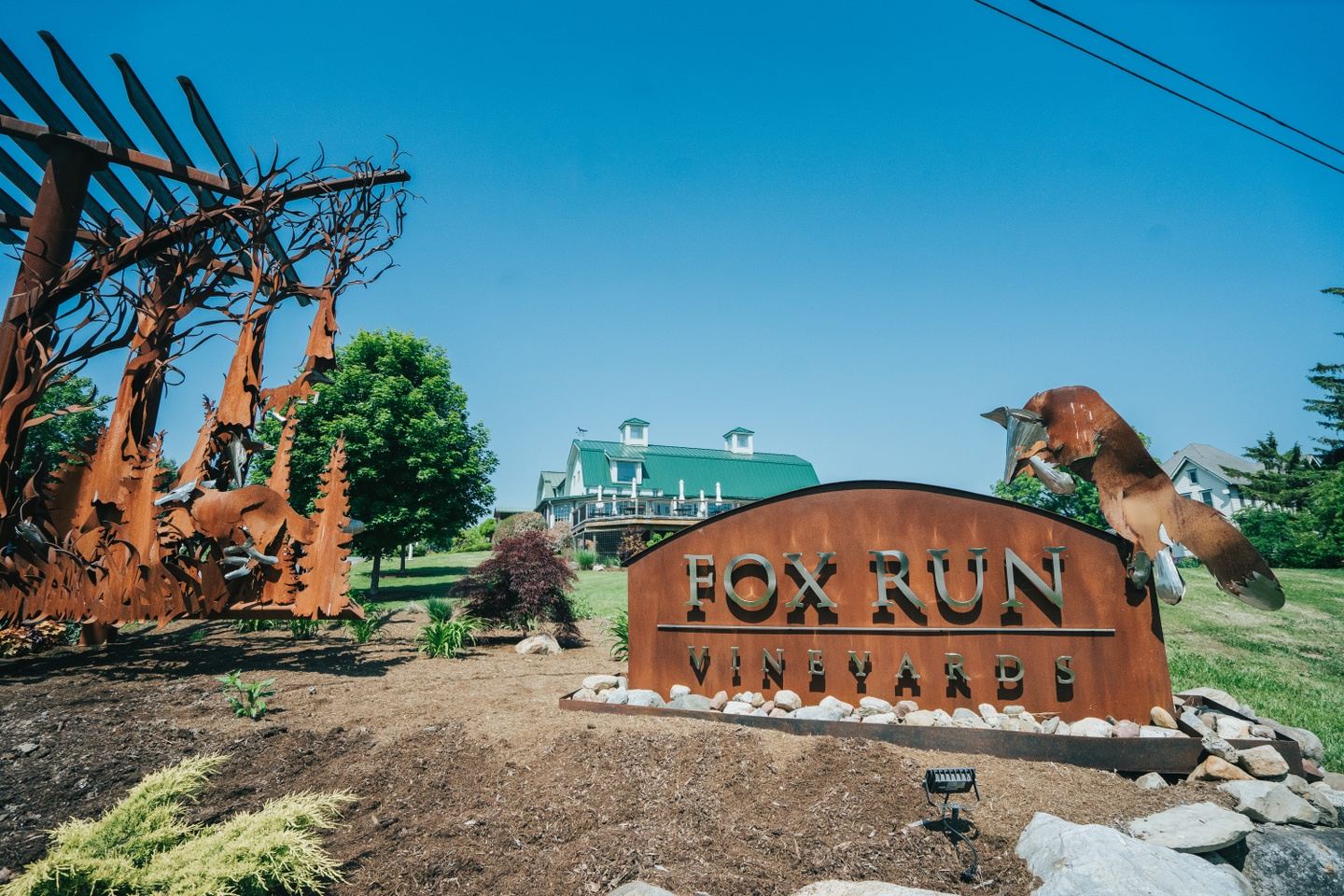 Discover Portugal's Alentejo with Fox Run Vineyards