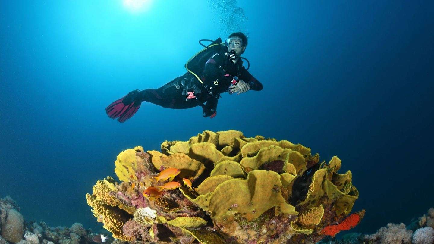 Scuba Diver Course