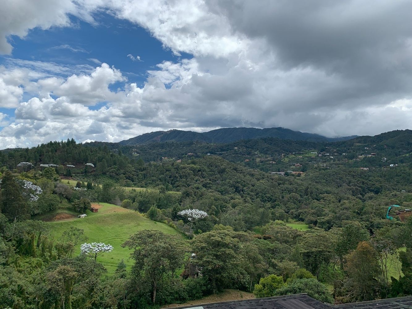 Mi Casita: Family Group Adventure - Medellin (July 2026)