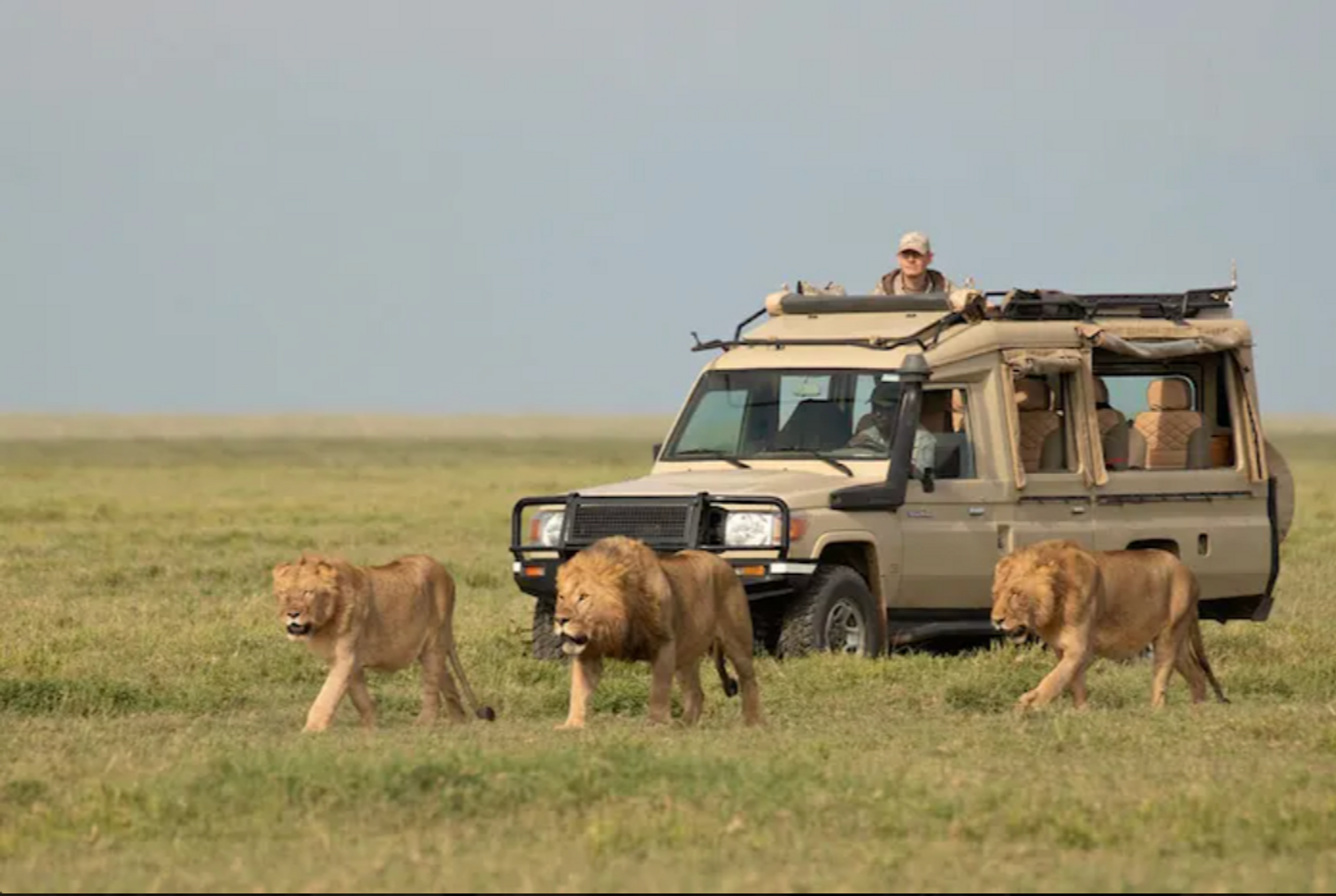 5 Day Serengeti Safari - Serengeti & Ngorongoro Crater