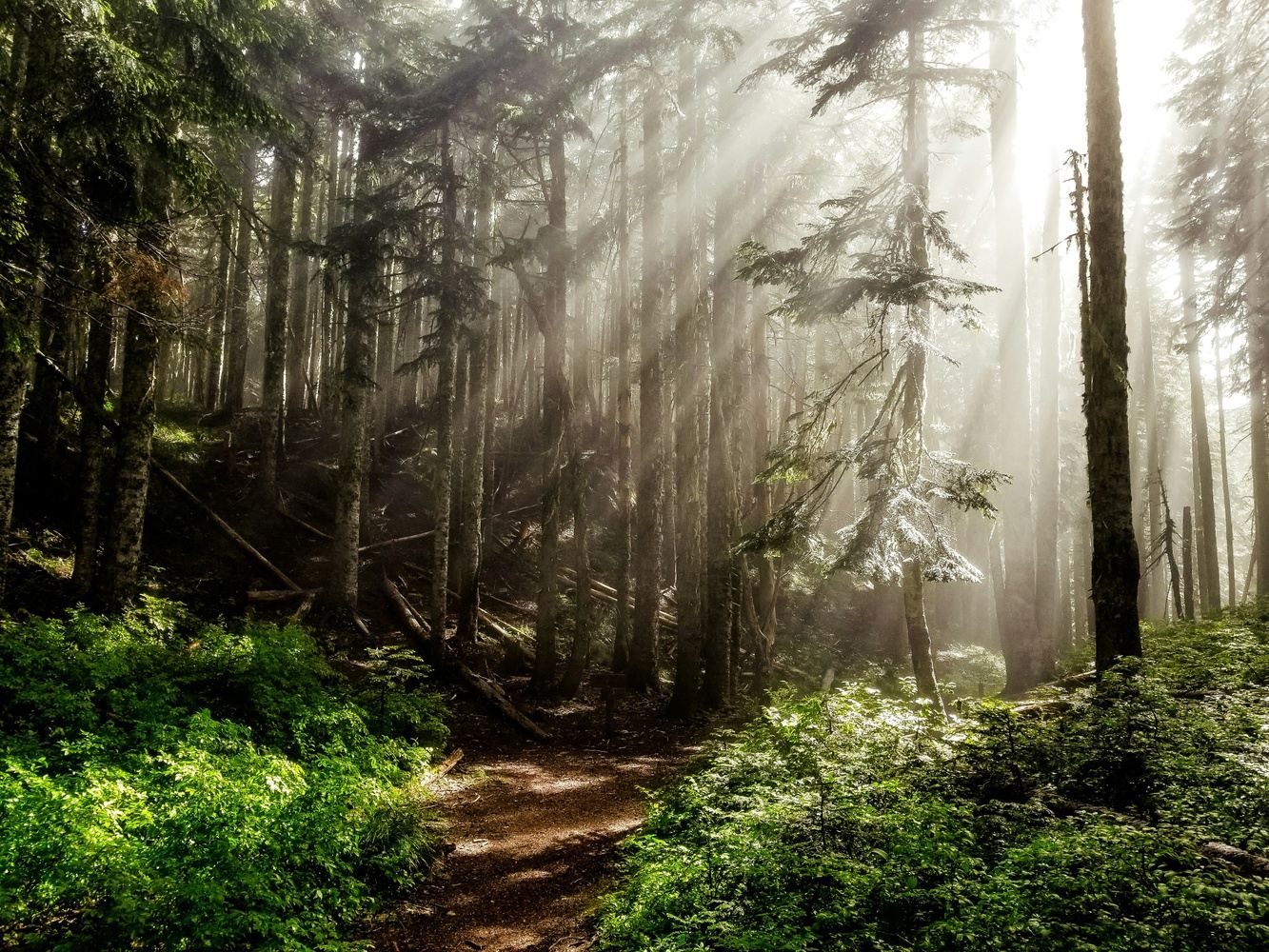 Cascadia Autumn Mission Delegation (Sept 2026)