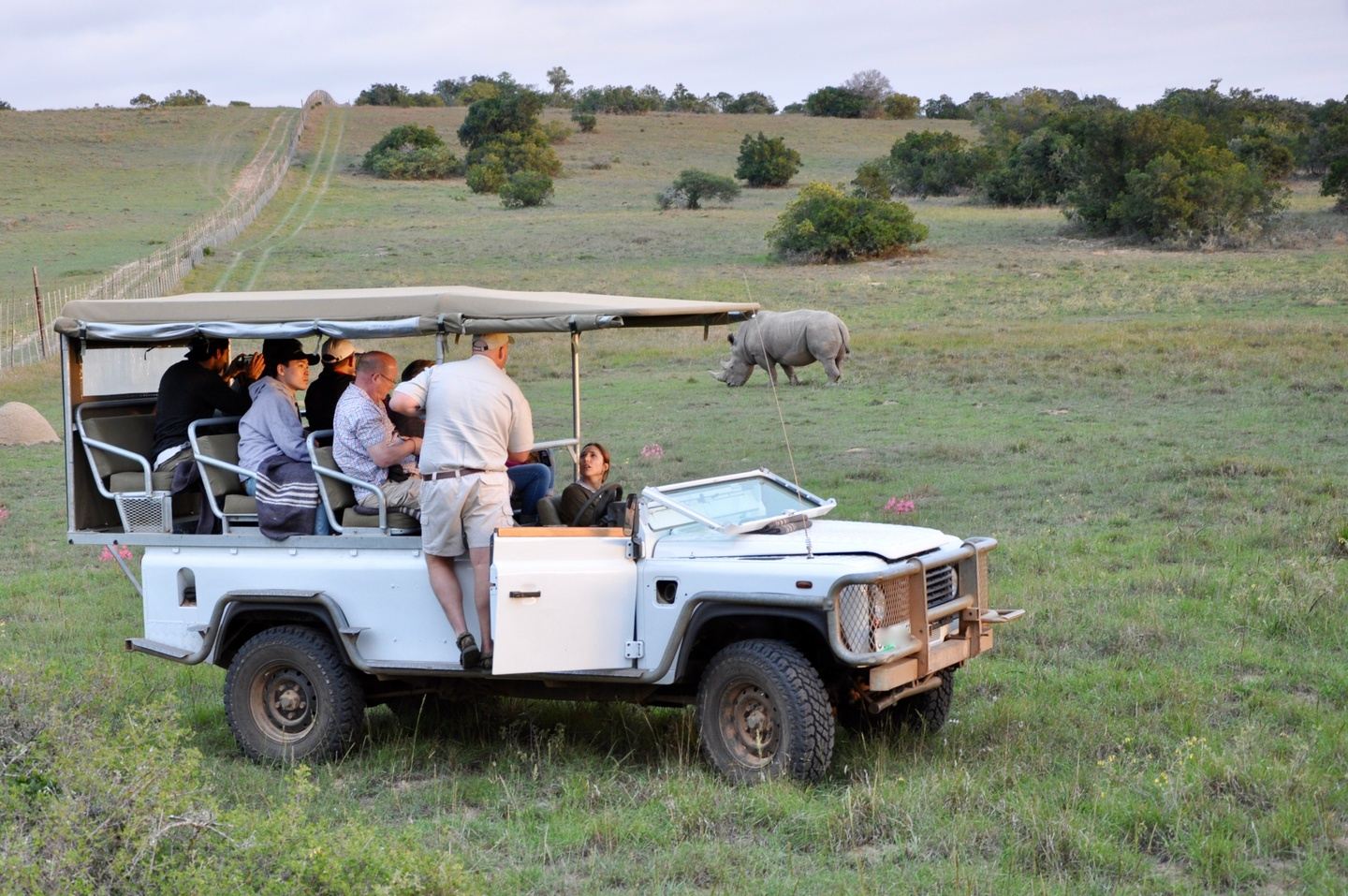 Port Elizabeth: Big 5 Day Safari in 4x4 Open Vehicle