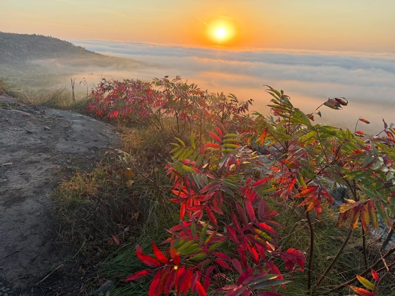 Grand Traverse