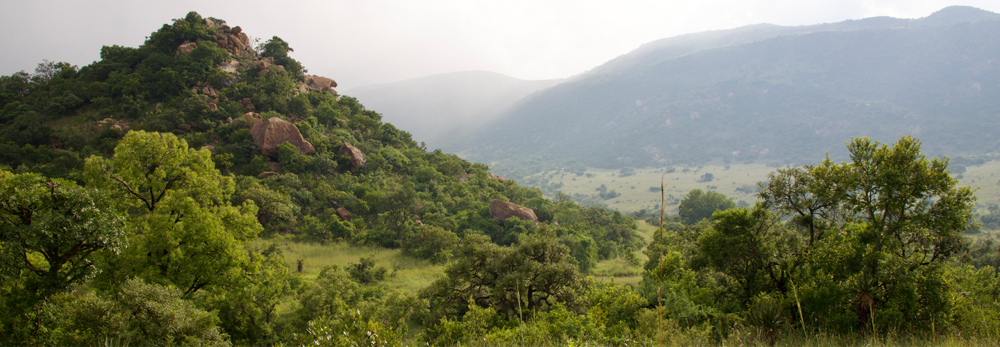 Babanango 4-day Walking Safari