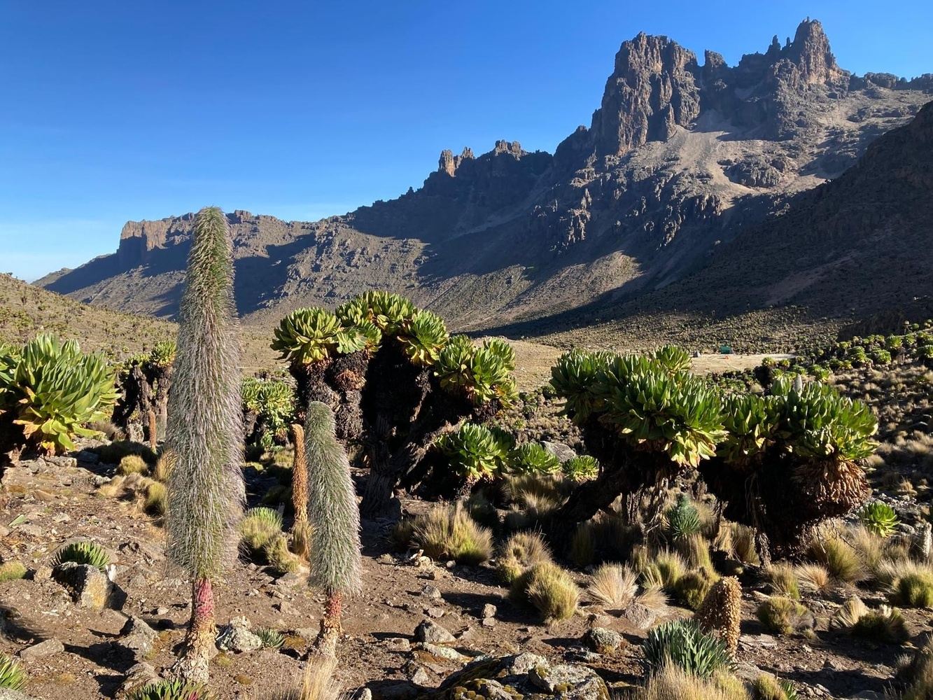 AED: Mt Kenya - LENANA POINT 4,985M