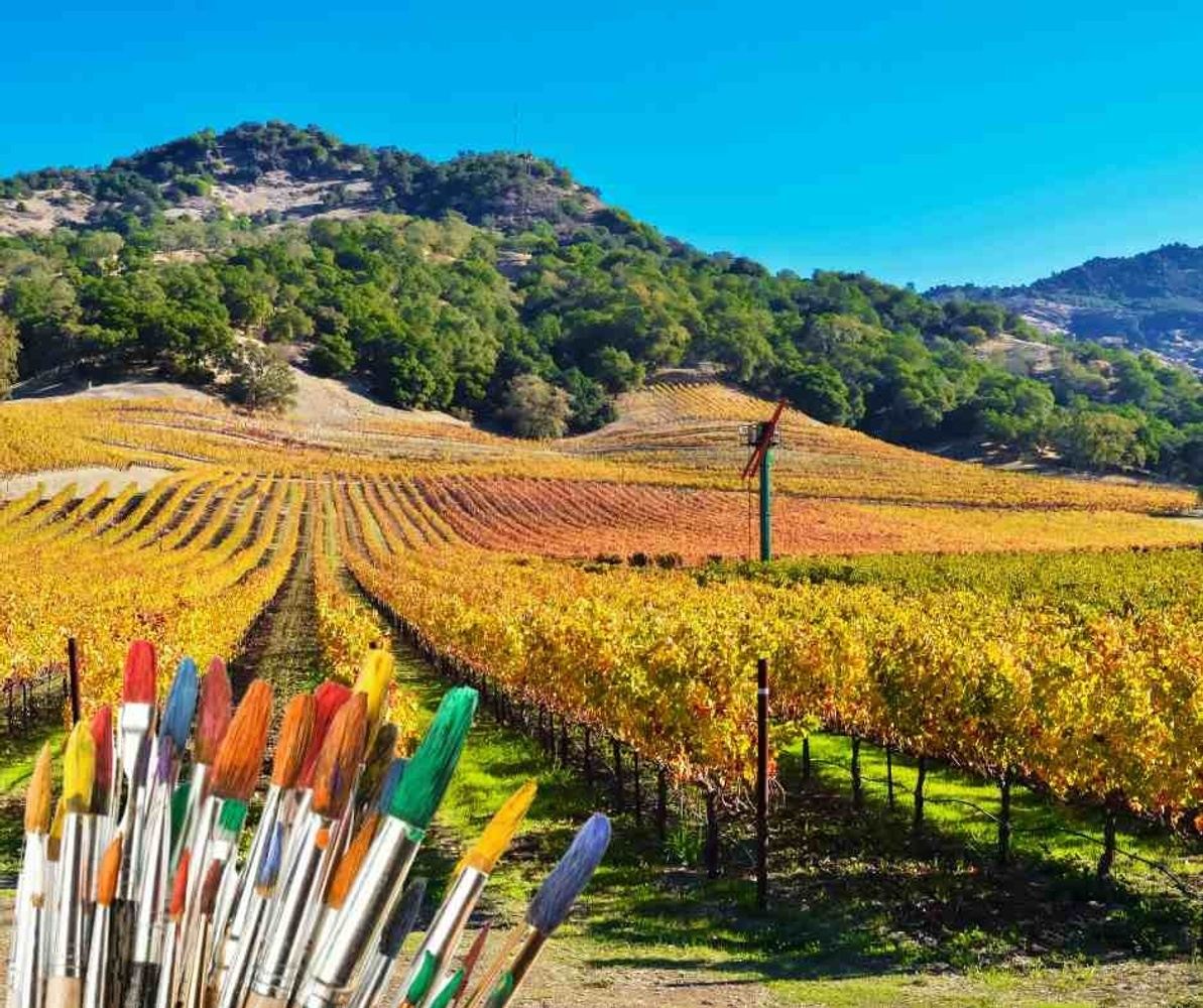 Brenda Swenson-Sketching in Sonoma