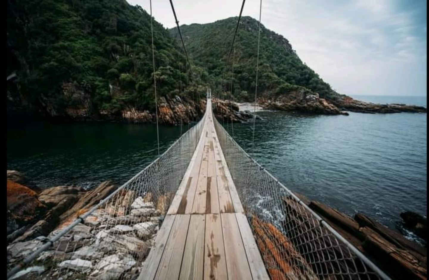 2-Day Garden Route From Port Elizabeth - Tsitsikamma & Plett