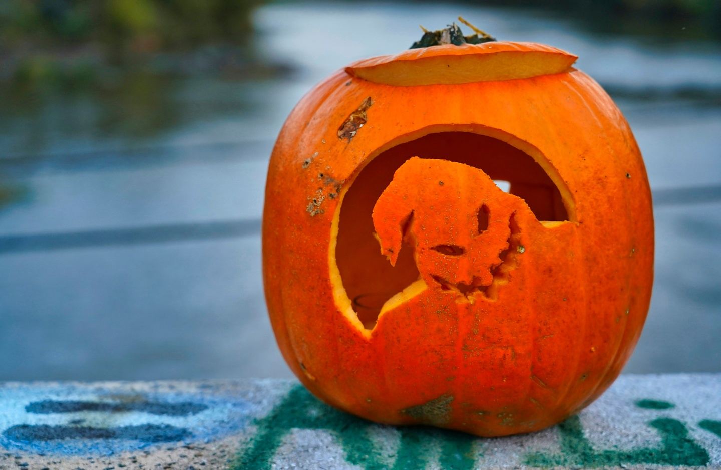 UNDERWATER PUMPKIN CARVING DIVER DAY