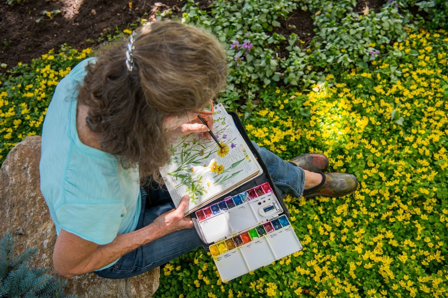 Butterflies and Brushes: The Art of Field Journaling in Mexico