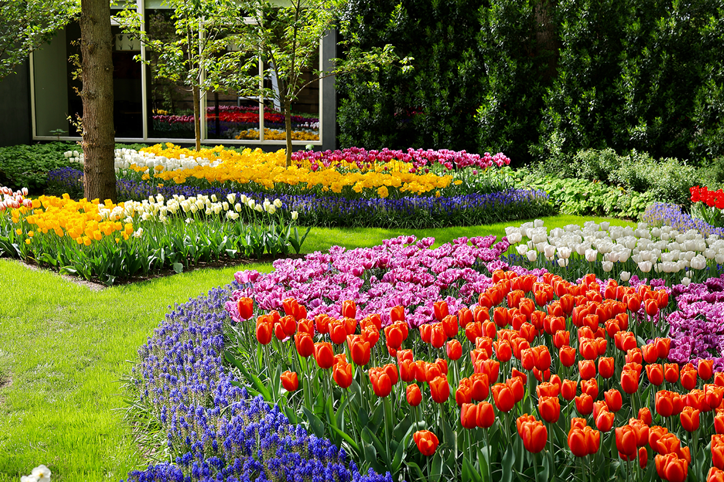 Belgium & Netherlands: Cheese, Chocolate & Brews - April/May 2025