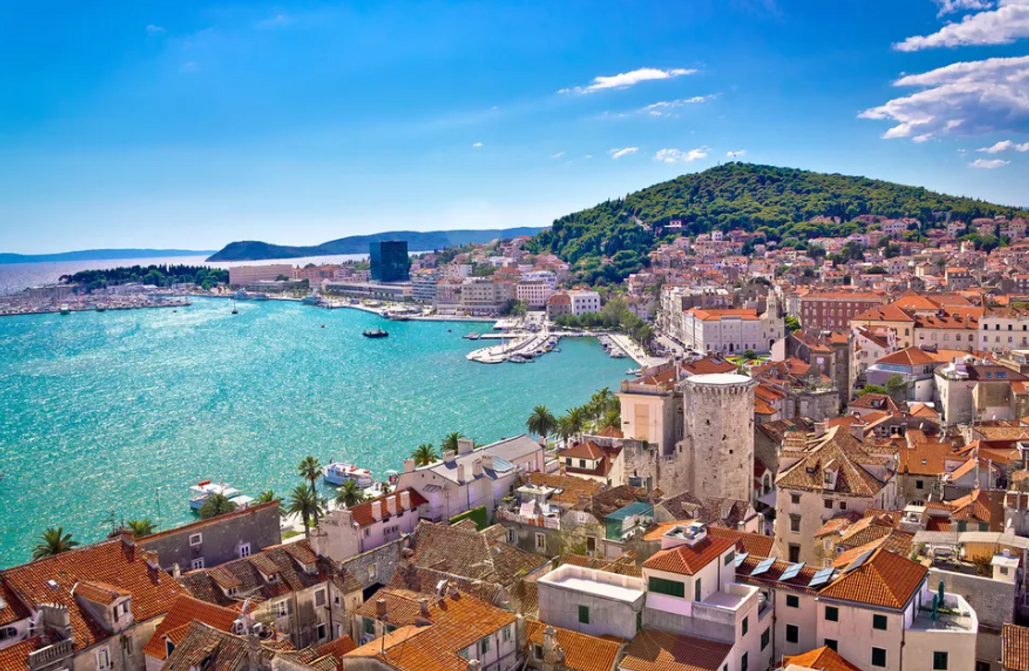 Croatia Interprofessional Healthcare Journey with Dr. Carol Huston
