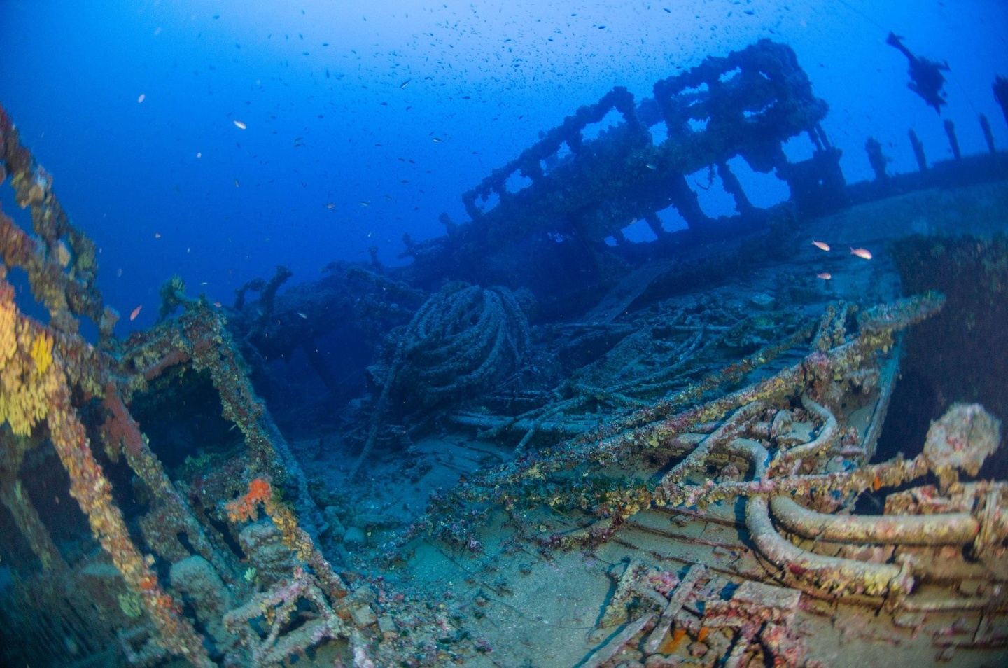 Malta CCR 60M Expedition