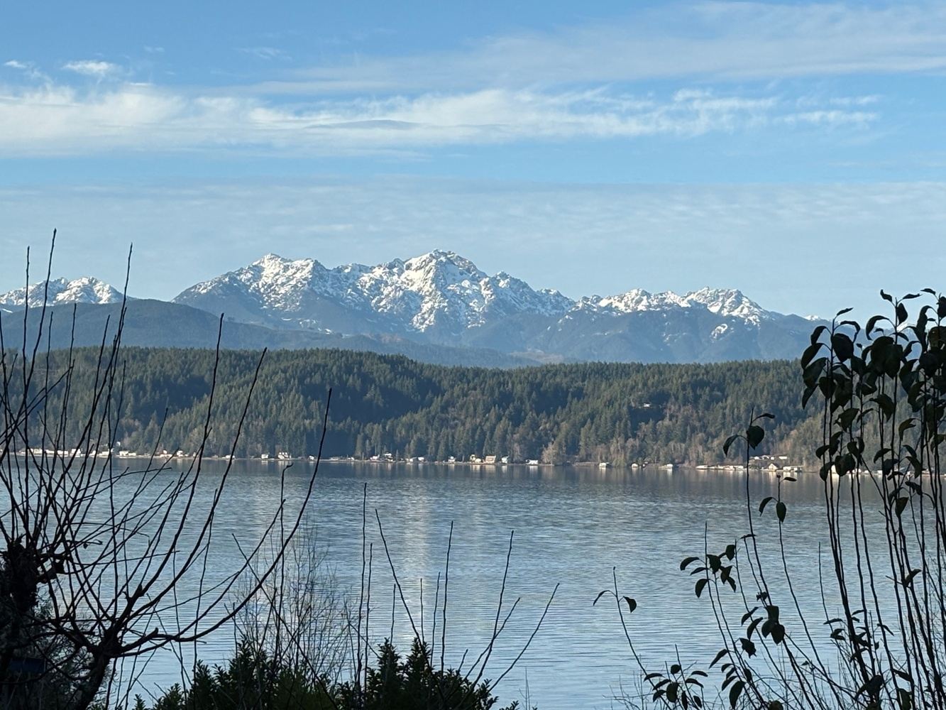 4-Day Spring Silent Meditation Retreat