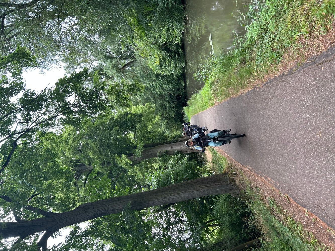 Wine route of Alsace on a bike (or e-bike)