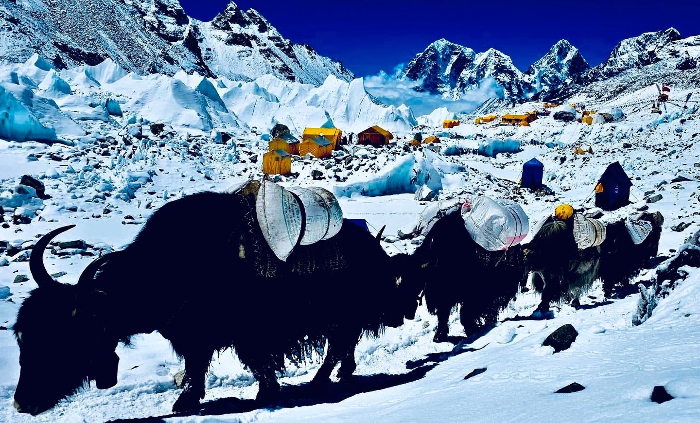 Kailash Mansarovar Tour