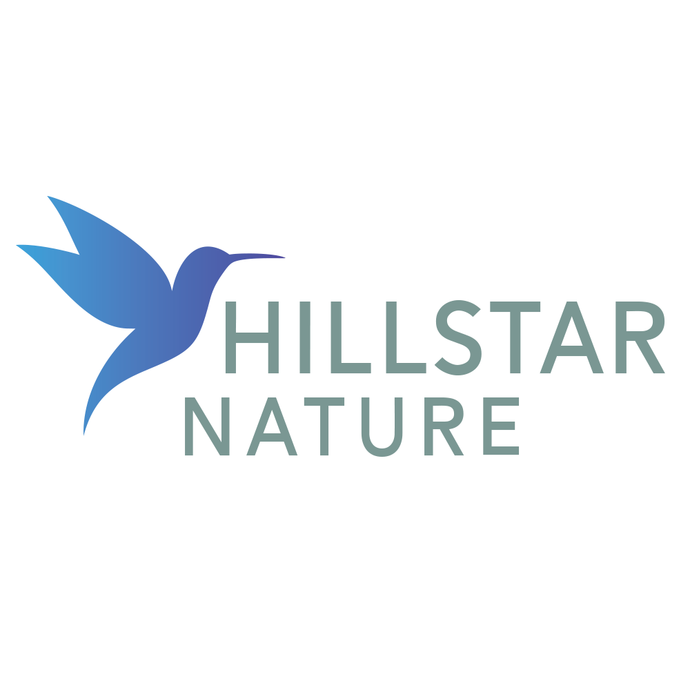 Brazil: Birds & Wildlife  of the Pantanal 2025