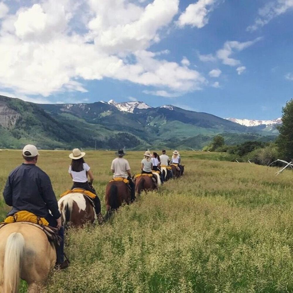 Aspen Intensive