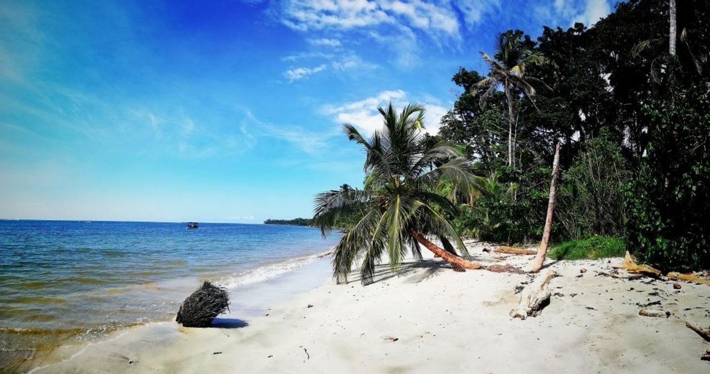 Peace in Paradise: A Costa Rica Experience - February 16-22, 2026