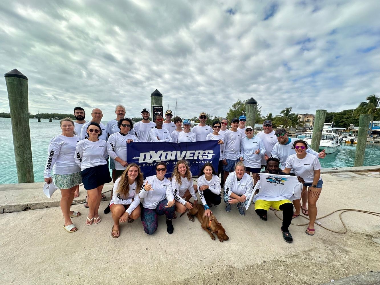 3 Day Hammerhead Migration in the Bahamas - November 2026