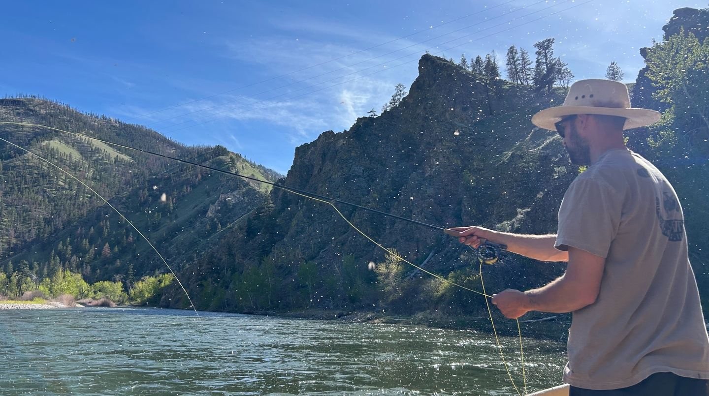 Trout Fishing
