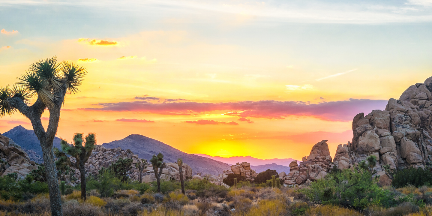 Indigenous California: Then, Now, Always