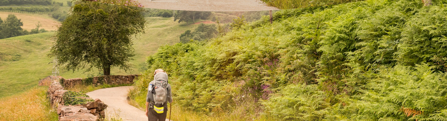 Pilgrimage to Santiago 2026