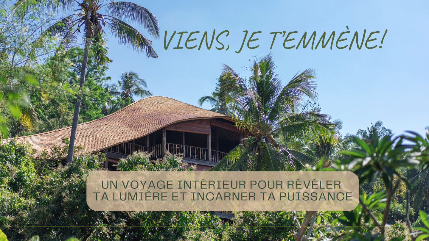 Viens je t'emmène Illuminer Février