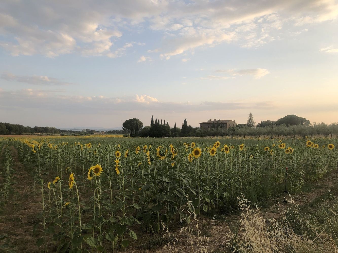 Serene Self Yoga Retreat