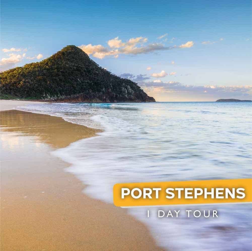 Port Stephens Day Tour