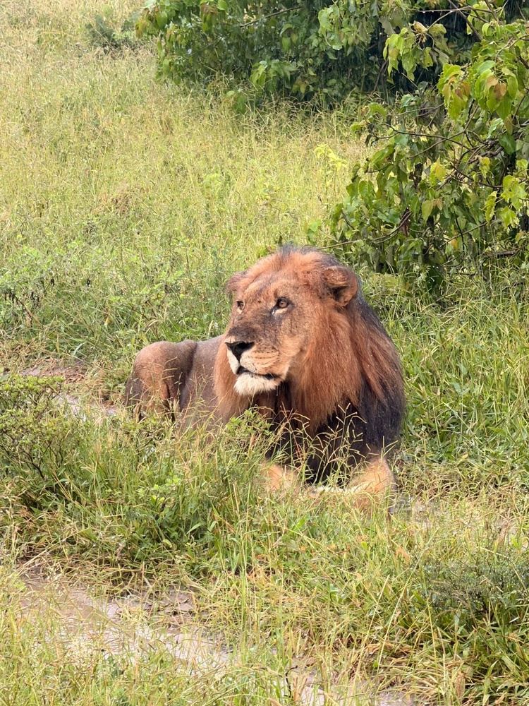 7 Day Victoria Falls, Chobe NP and Hwange NP Safari Tour